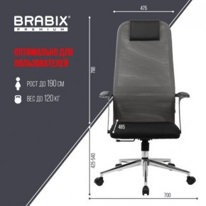 Кресло офисное BRABIX PREMIUM "Ultimate EX-801" хром, плотная двойная сетка Х2, черное/серое, 532918 в Надыме - nadym.mebel24.online | фото 5