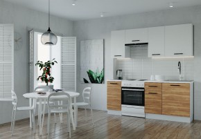 Кухонный гарнитур Лада 2000 (Стол. 38мм) в Надыме - nadym.mebel24.online | фото