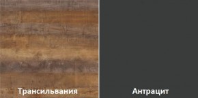 Кухонный гарнитур угловой Трансильвания 2600х1600 мм (Стол. 26 мм) в Надыме - nadym.mebel24.online | фото 3