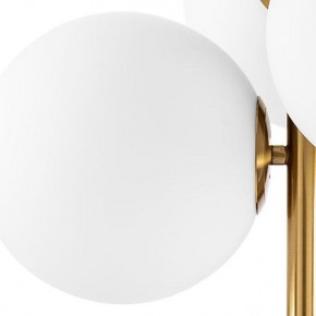 Люстра на штанге Lightstar Croco 815031 в Надыме - nadym.mebel24.online | фото 3