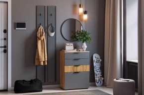 МЕБЕЛЬСОН К21 Прихожая  (графит) в Надыме - nadym.mebel24.online | фото