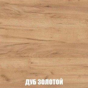 МСП-1 Шкаф 2-х створчатый (Дуб Золотой/Камень темный) в Надыме - nadym.mebel24.online | фото 4