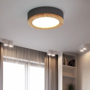 Накладной светильник Imperiumloft Wudda Серый WUDDA01 в Надыме - nadym.mebel24.online | фото 4
