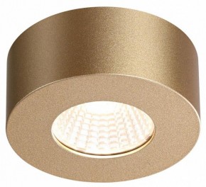 Накладной светильник Odeon Light Bene 4284/7CL в Надыме - nadym.mebel24.online | фото 4