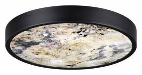 Накладной светильник Odeon Light Bergi 5064/24L в Надыме - nadym.mebel24.online | фото 4