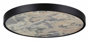 Накладной светильник Odeon Light Bergi 5064/50L в Надыме - nadym.mebel24.online | фото 3