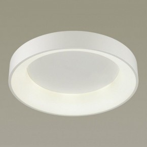 Накладной светильник Odeon Light Sole 4062/50CL в Надыме - nadym.mebel24.online | фото 2