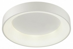 Накладной светильник Odeon Light Sole 4062/50CL в Надыме - nadym.mebel24.online | фото 3