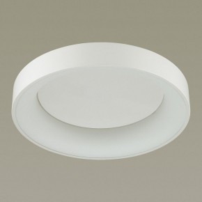 Накладной светильник Odeon Light Sole 4062/50CL в Надыме - nadym.mebel24.online | фото 4