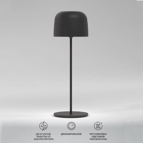 Настольная лампа декоративная Elektrostandard Bitty a069002 в Надыме - nadym.mebel24.online | фото 2