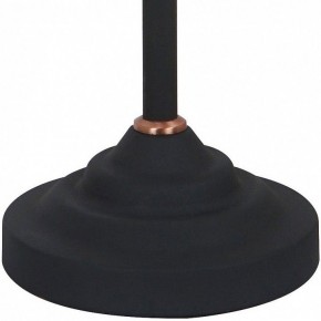 Настольная лампа офисная Arte Lamp Braccio A2054LT-1BK в Надыме - nadym.mebel24.online | фото 4