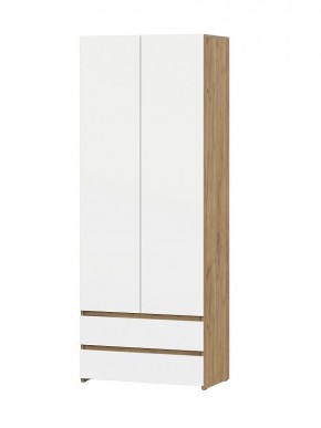 НЕКСТ 1 Шкаф двухстворчатый с ящиками в Надыме - nadym.mebel24.online | фото