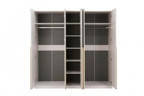 НИКОЛЬ 25 Шкаф 5-ти створчатый в Надыме - nadym.mebel24.online | фото 3