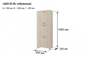 ШО-53 В тумба для обуви в Надыме - nadym.mebel24.online | фото 8