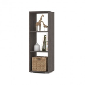 ОЛИВИЯ О53 Стеллаж (анкор темный) в Надыме - nadym.mebel24.online | фото