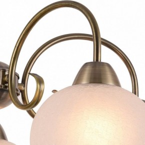 Подвесная люстра Arte Lamp Margo A9317LM-5AB в Надыме - nadym.mebel24.online | фото 3