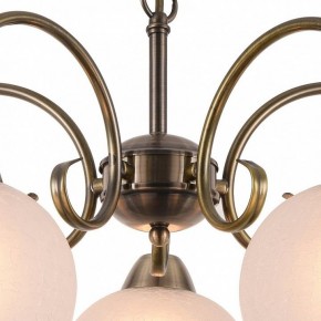 Подвесная люстра Arte Lamp Margo A9317LM-5AB в Надыме - nadym.mebel24.online | фото 4