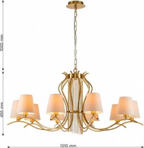 Подвесная люстра Favourite Ketten 2867-10P в Надыме - nadym.mebel24.online | фото 4
