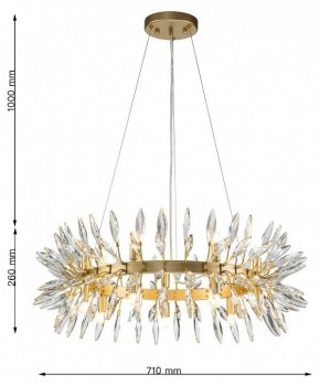 Подвесная люстра Favourite Rays 4058-14P в Надыме - nadym.mebel24.online | фото 7