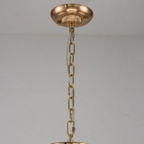 Подвесная люстра Favourite Rocca 2689-9P в Надыме - nadym.mebel24.online | фото 2