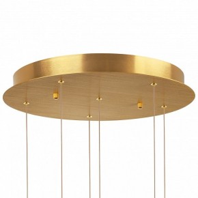 Подвесная люстра Lightstar Colore 805169 в Надыме - nadym.mebel24.online | фото 6