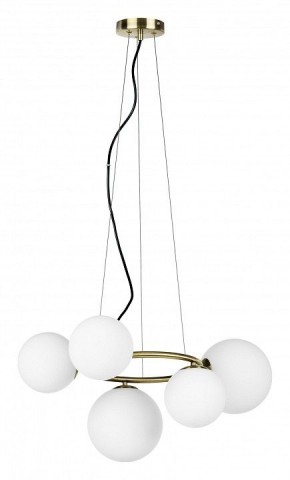 Подвесная люстра Lightstar Globo 815051 в Надыме - nadym.mebel24.online | фото 2