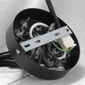 Подвесная люстра Lussole Seneca GRLSP-8177 в Надыме - nadym.mebel24.online | фото 10