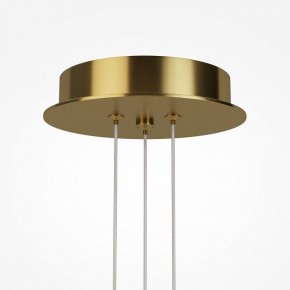 Подвесная люстра Maytoni Arana MOD401PL-L108BS3K в Надыме - nadym.mebel24.online | фото 7