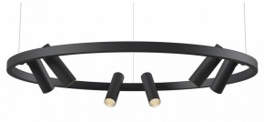 Подвесная люстра Maytoni Halo MOD102PL-L42BK в Надыме - nadym.mebel24.online | фото