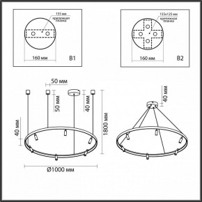Подвесная люстра Odeon Light Fonda 4317/93L в Надыме - nadym.mebel24.online | фото 6