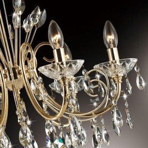 Подвесная люстра Odeon Light Versia 4977/6 в Надыме - nadym.mebel24.online | фото 7