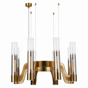 Подвесная люстра ST-Luce Ettore SL1235.303.08 в Надыме - nadym.mebel24.online | фото 3