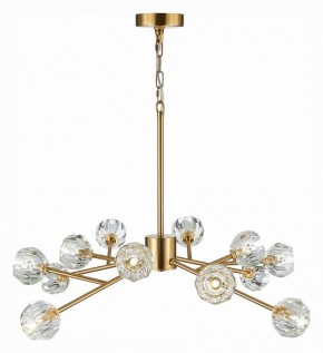 Подвесная люстра ST-Luce Romano SL1166.303.12 в Надыме - nadym.mebel24.online | фото 6