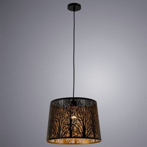 Подвесной светильник Arte Lamp Celesta A2769SP-1BK в Надыме - nadym.mebel24.online | фото 3