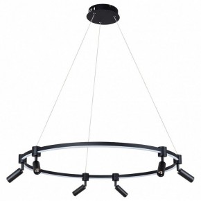 Подвесной светильник Arte Lamp Ring A2186SP-1BK в Надыме - nadym.mebel24.online | фото 2