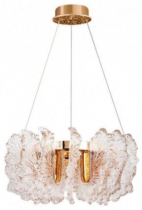 Подвесной светильник Divinare Anna 1138/01 SP-36 в Надыме - nadym.mebel24.online | фото 2