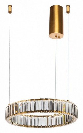 Подвесной светильник Divinare Renata 1135/17 SP-25 в Надыме - nadym.mebel24.online | фото 2