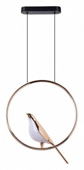 Подвесной светильник Divinare Summer 1188/01 SP-9 в Надыме - nadym.mebel24.online | фото 2