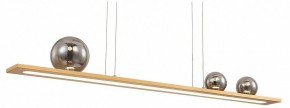 Подвесной светильник Favourite Bilico 4549-3P в Надыме - nadym.mebel24.online | фото 2