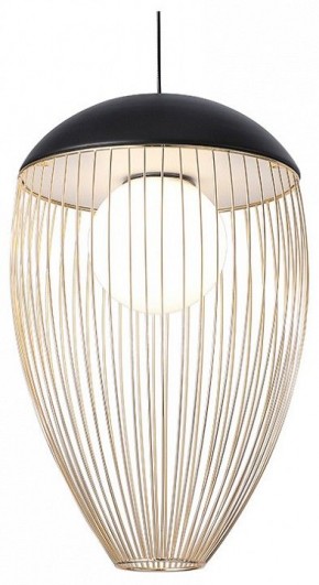 Подвесной светильник Favourite Сore 4241-1P в Надыме - nadym.mebel24.online | фото