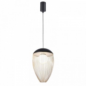 Подвесной светильник Favourite Сore 4241-1P в Надыме - nadym.mebel24.online | фото 2