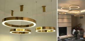 Подвесной светильник Imperiumloft Light Ring Horizontal 40.1454-40 в Надыме - nadym.mebel24.online | фото 2