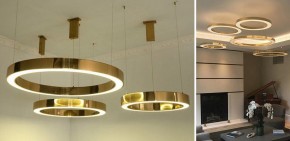 Подвесной светильник Imperiumloft Light Ring Horizontal 40.1454-80 в Надыме - nadym.mebel24.online | фото 3