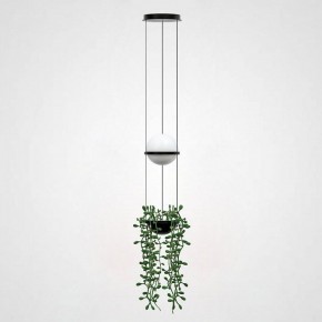 Подвесной светильник Imperiumloft Palma Wall Lamp 22.93727 в Надыме - nadym.mebel24.online | фото