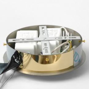Подвесной светильник Lussole Citrus LSP-7158 в Надыме - nadym.mebel24.online | фото 6