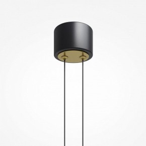 Подвесной светильник Maytoni Link MOD357PL-L14BS3K в Надыме - nadym.mebel24.online | фото 6