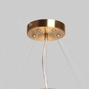 Подвесной светильник MW-Light Илоника 10 451013006 в Надыме - nadym.mebel24.online | фото 10