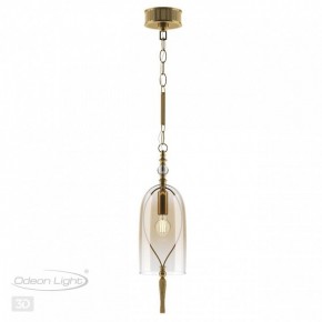 Подвесной светильник Odeon Light Bell 4892/1 в Надыме - nadym.mebel24.online | фото 5