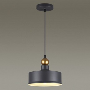 Подвесной светильник Odeon Light Bolli 4088/1 в Надыме - nadym.mebel24.online | фото 4