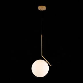 Подвесной светильник ST-Luce Codda SL1148.303.01 в Надыме - nadym.mebel24.online | фото 5